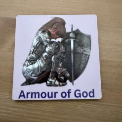 Coaster - Female Armour
