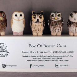 Box Of British Owls 1 Box Of British Owls 1