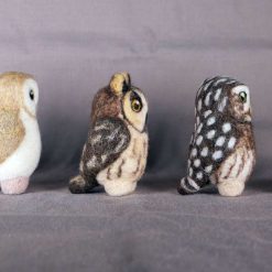 Box Of British Owls 2 Box Of British Owls 2