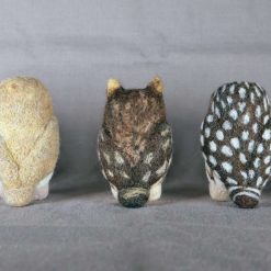 Box Of British Owls 3 Box Of British Owls 3