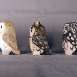 Box Of British Owls 4 Box Of British Owls 4