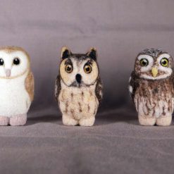 Box Of British Owls 5 Box Of British Owls 5