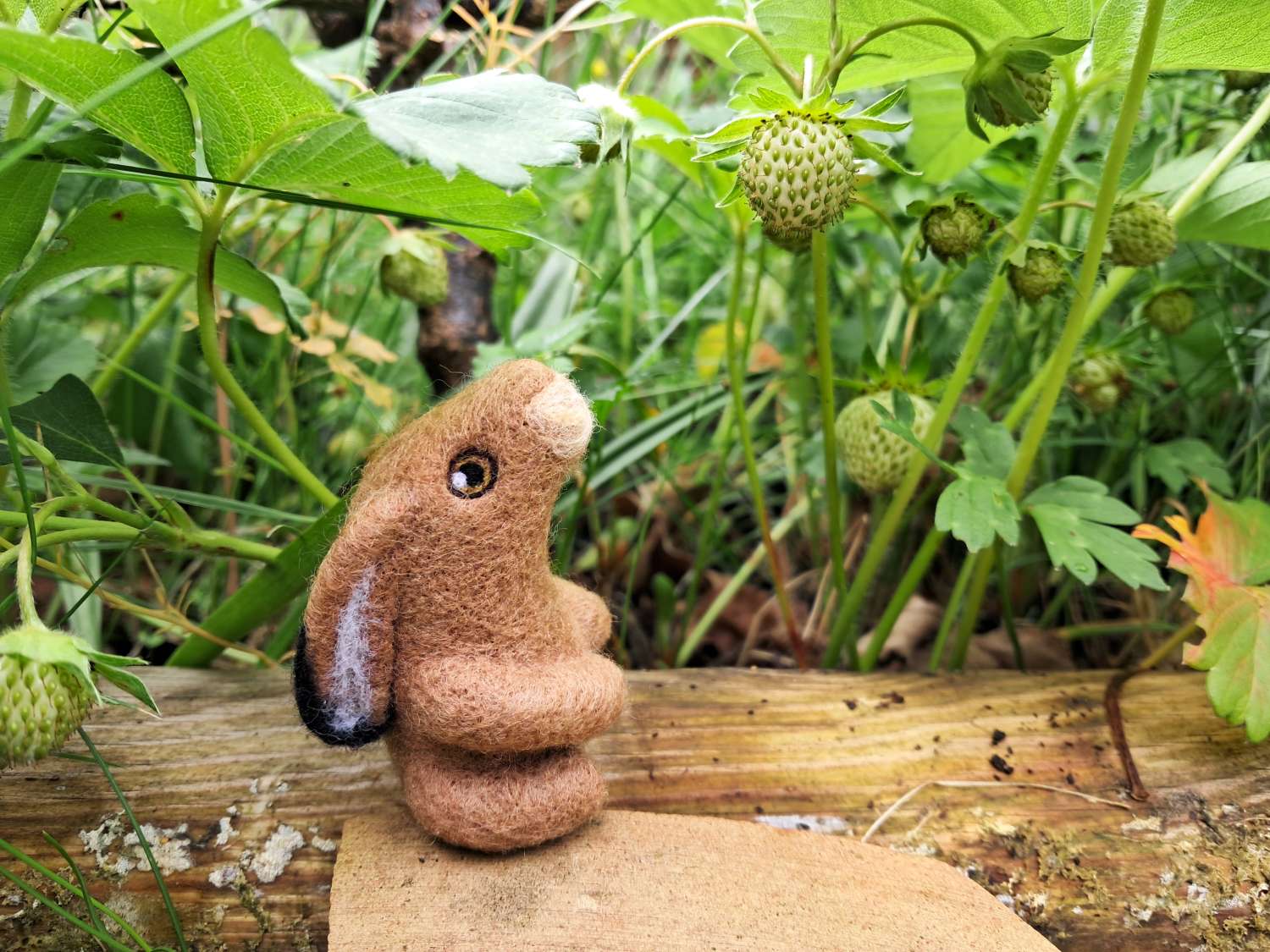 Wild Woolley Friends - Gazing Hare Wild Woolley Friends - Gazing Hare