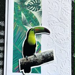 Tropical Toucan