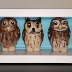 Box Of British Owls