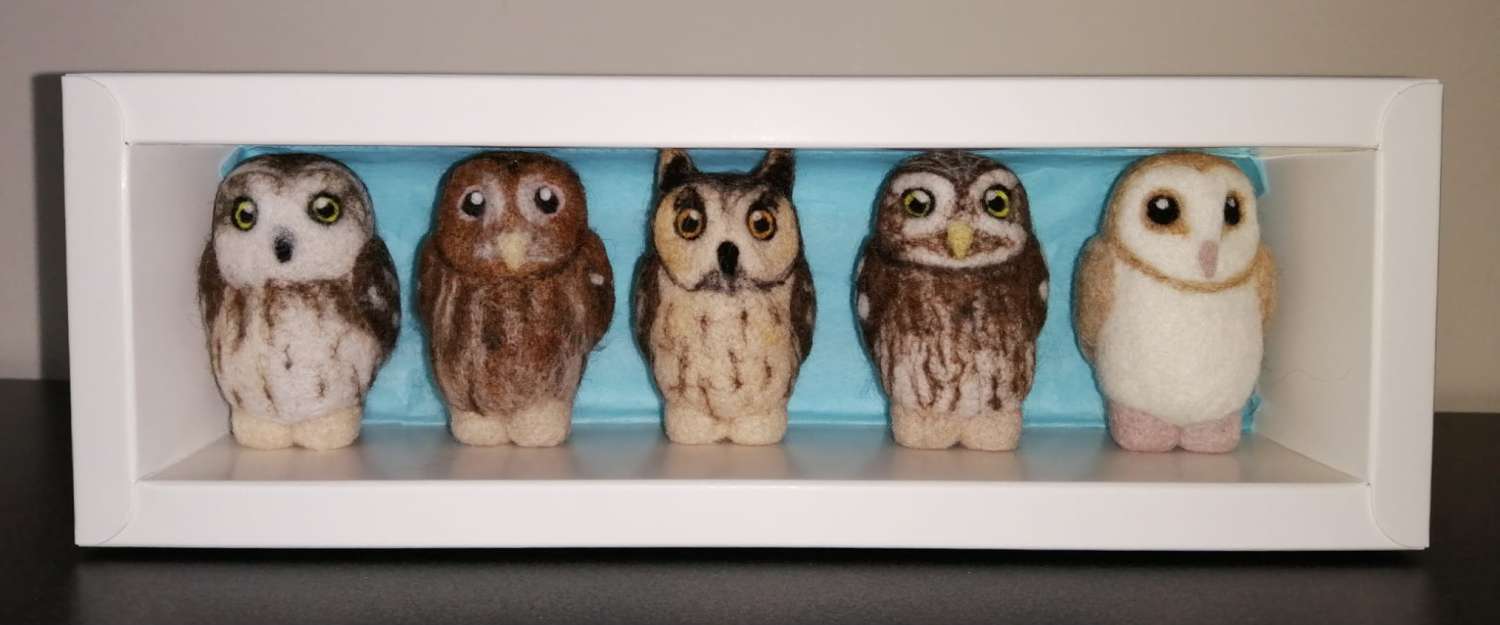 Box Of British Owls Box Of British Owls
