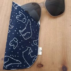 Glasses Cases 2