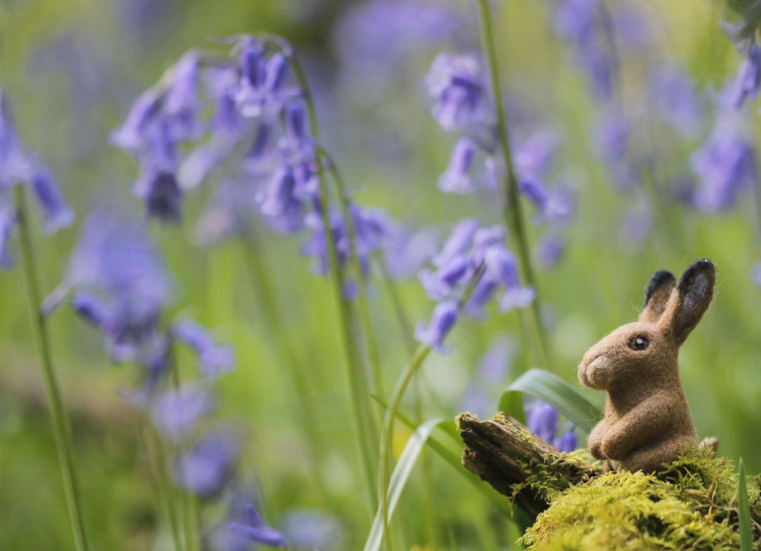 Wild Woolley Friends - Hare Wild Woolley Friends - Hare