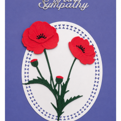 WITH SYMPATHY