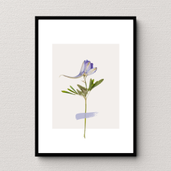 Lavender Whisper Wall Art Poster Print