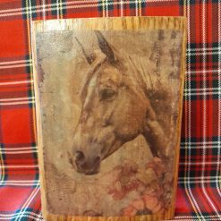 Horse large