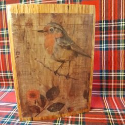 Robin large