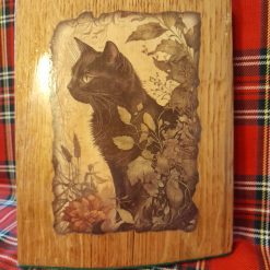 Cat large