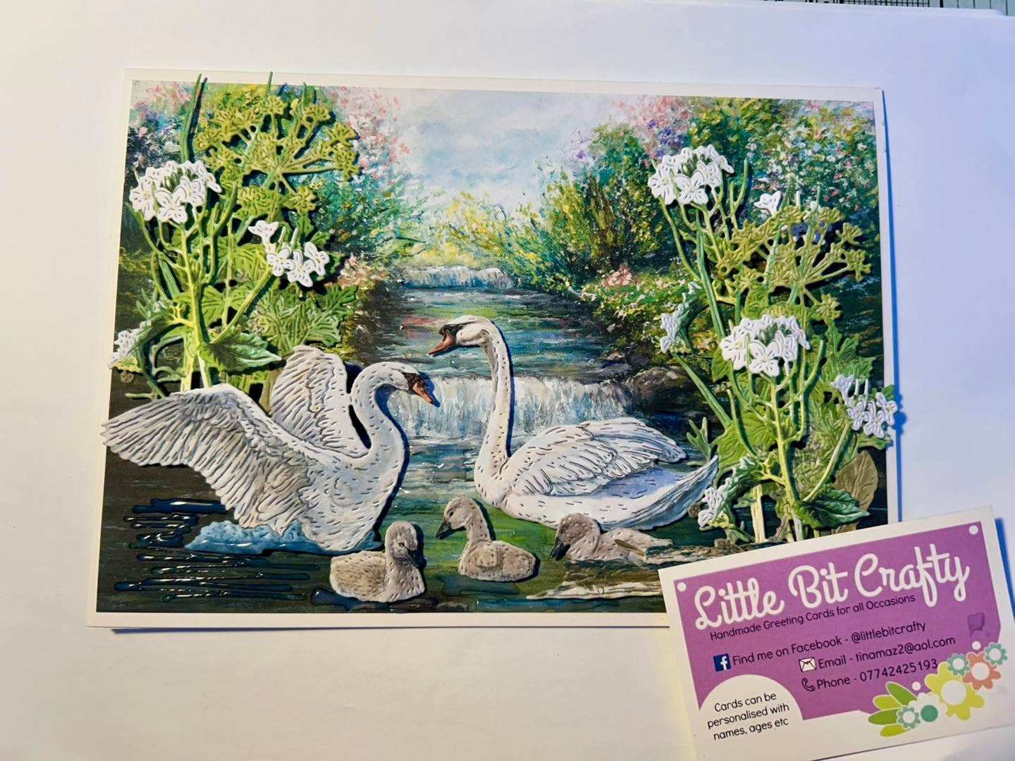 Graceful swans Graceful swans