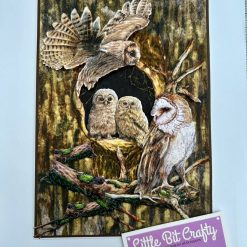 Owls