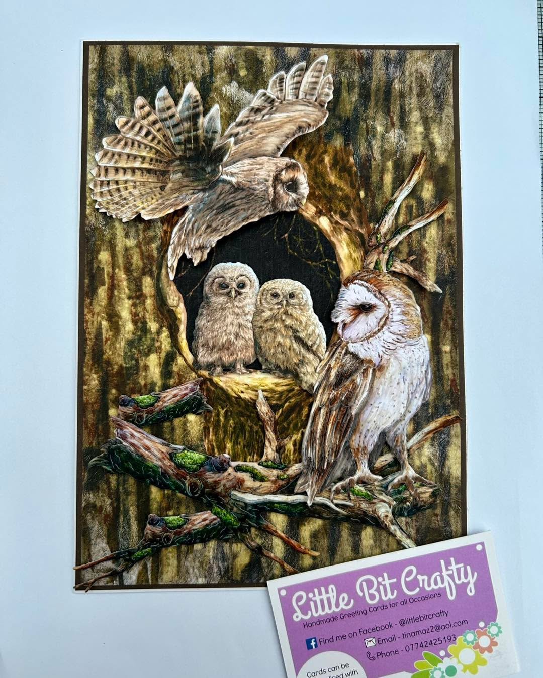 Owls Owls