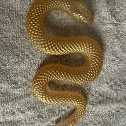 Gold snake