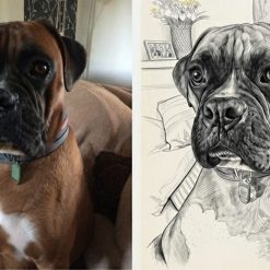Customised Pet Portraits A5 and A4