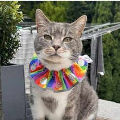 Bird Safe, Bird Saver, Stop Cat Collars