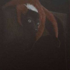 Red Tuffed Lemur Original Drawing