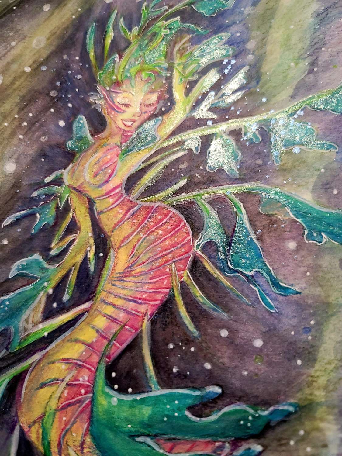 The Leafy Sea Dragon Dance The Leafy Sea Dragon Dance