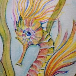 Coral Seahorse