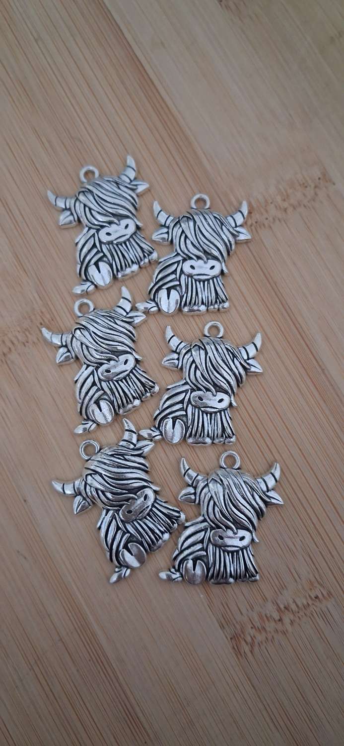 Tibetan silver craft charms. Tibetan silver craft charms.