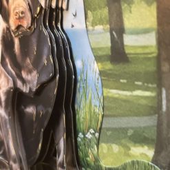 Choc lab card 1