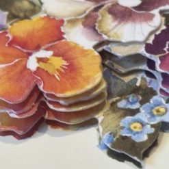 Pansies 1