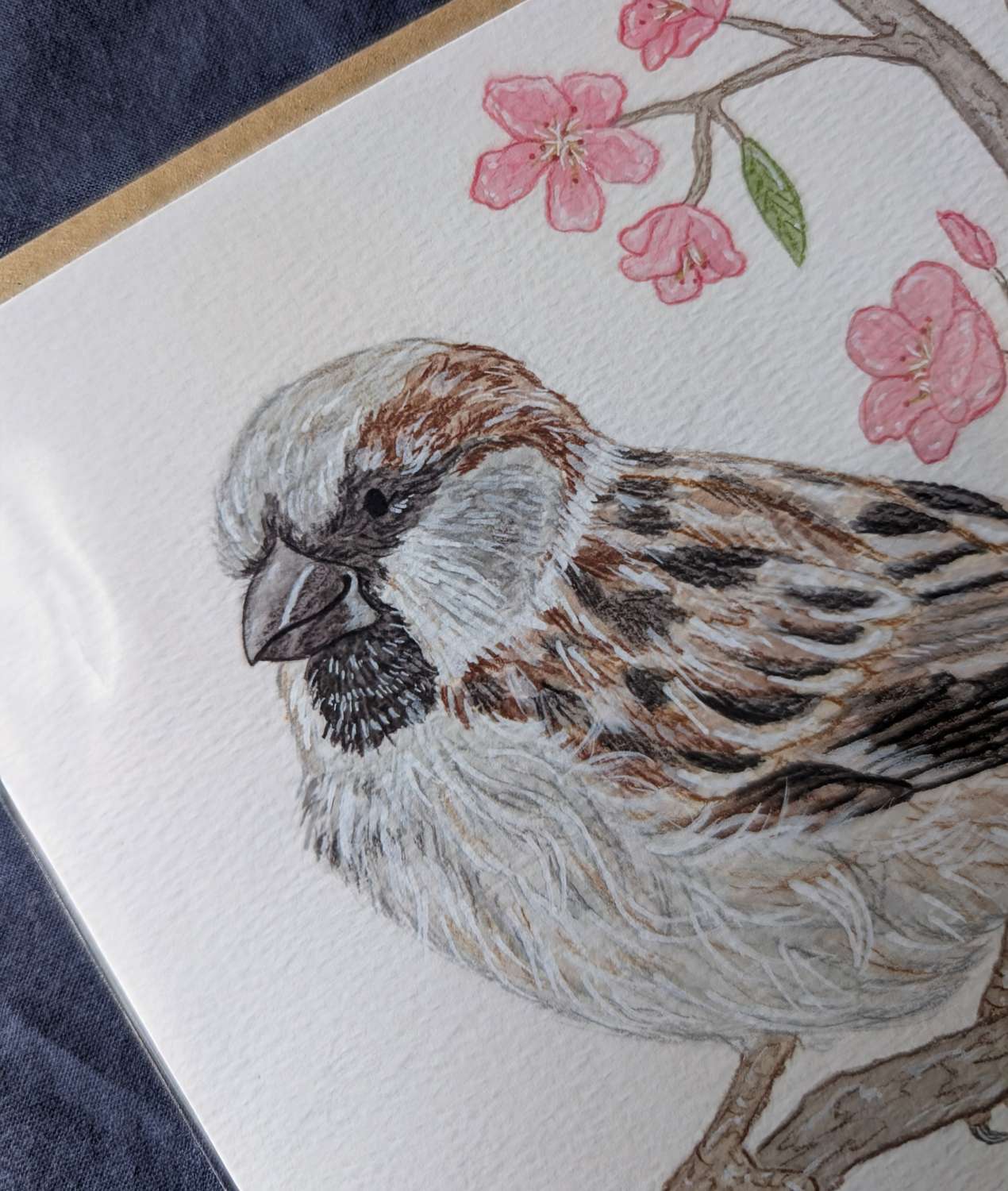 "House Sparrow" Greetings Card "House Sparrow" Greetings Card