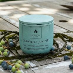 Seaweed & Juniper Scented Concrete Candle 10oz