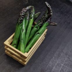 Handmade Asparagus Fridge Magnet