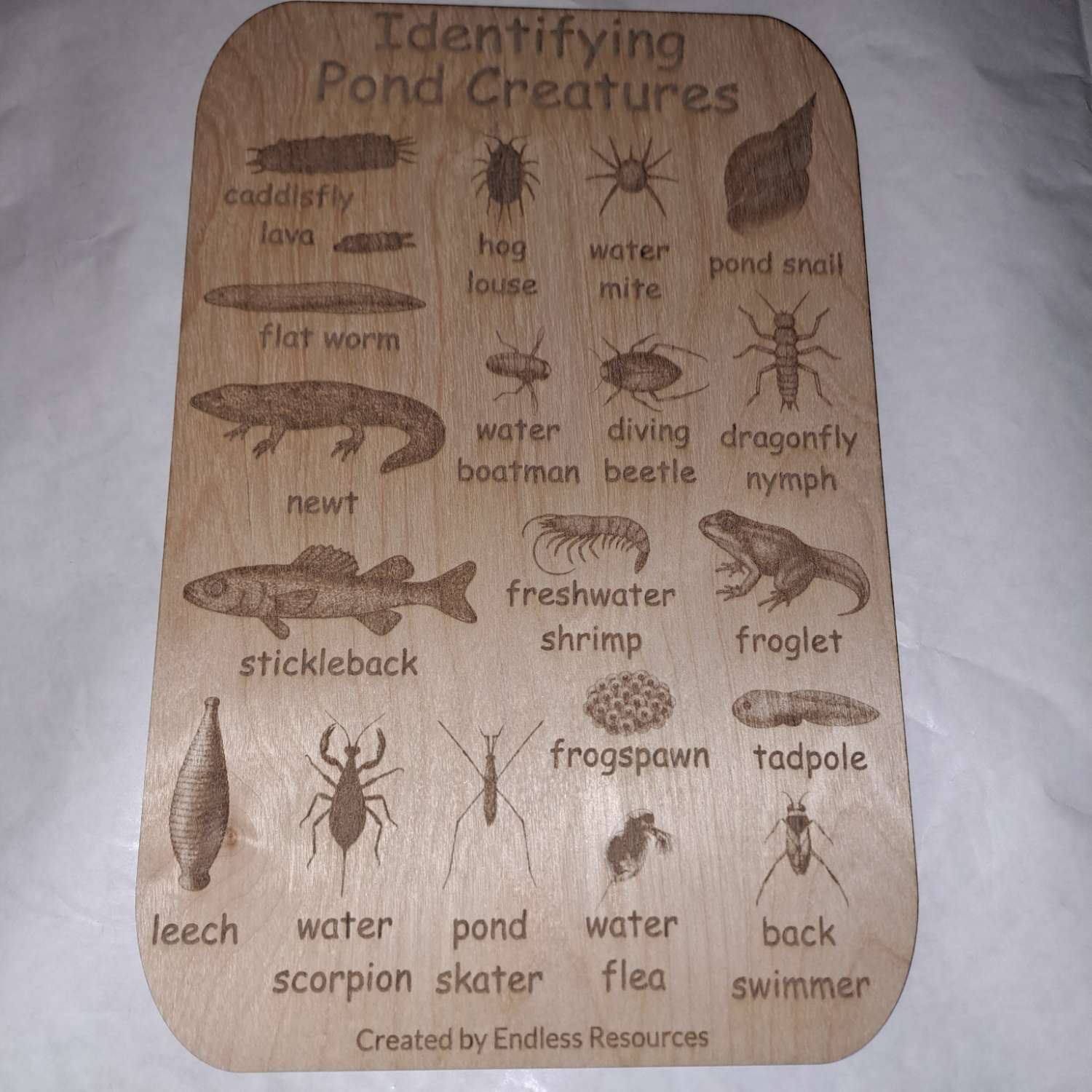 Wooden Minibeast Nature Board Wooden Minibeast Nature Board