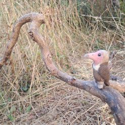 Wild Woolley Friends - Hooded Vulture