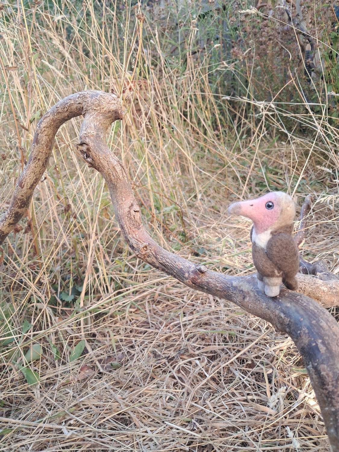 Wild Woolley Friends - Hooded Vulture Wild Woolley Friends - Hooded Vulture