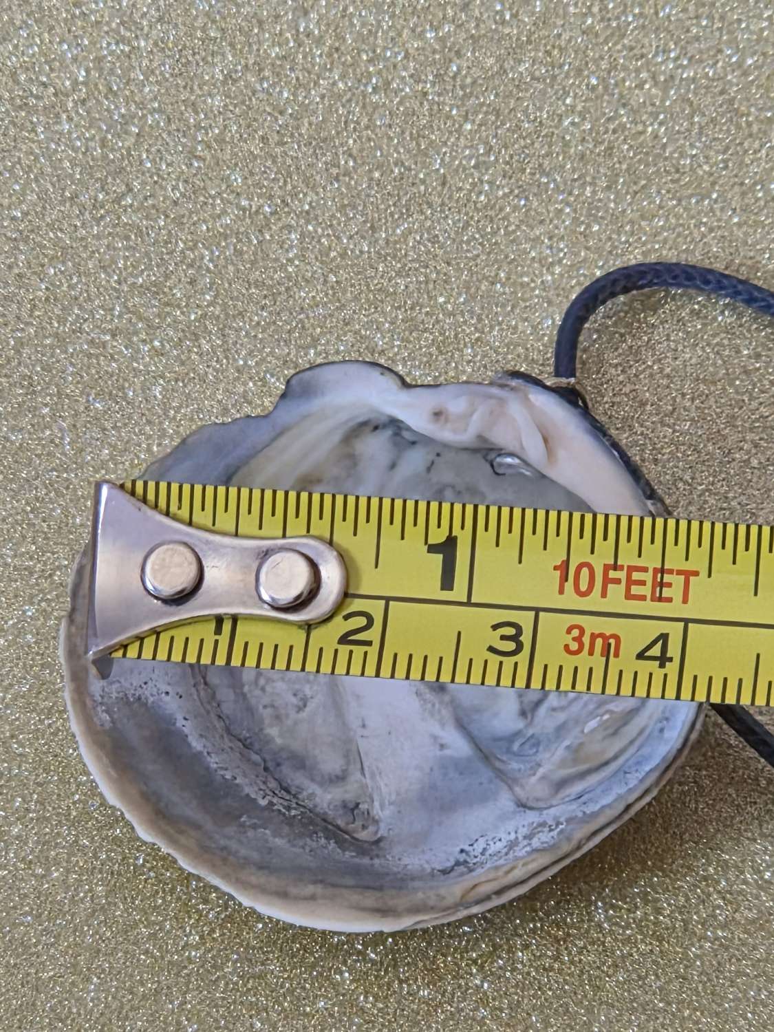 Natural Handcrafted Clam Shell Pendant Natural Handcrafted Clam Shell Pendant