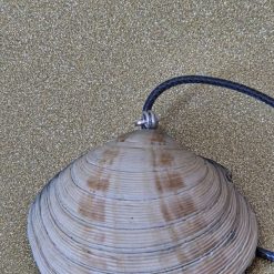 Natural Handcrafted Clam Shell Pendant 4 Natural Handcrafted Clam Shell Pendant 4