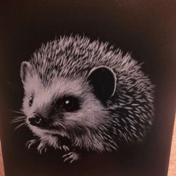 Coaster
