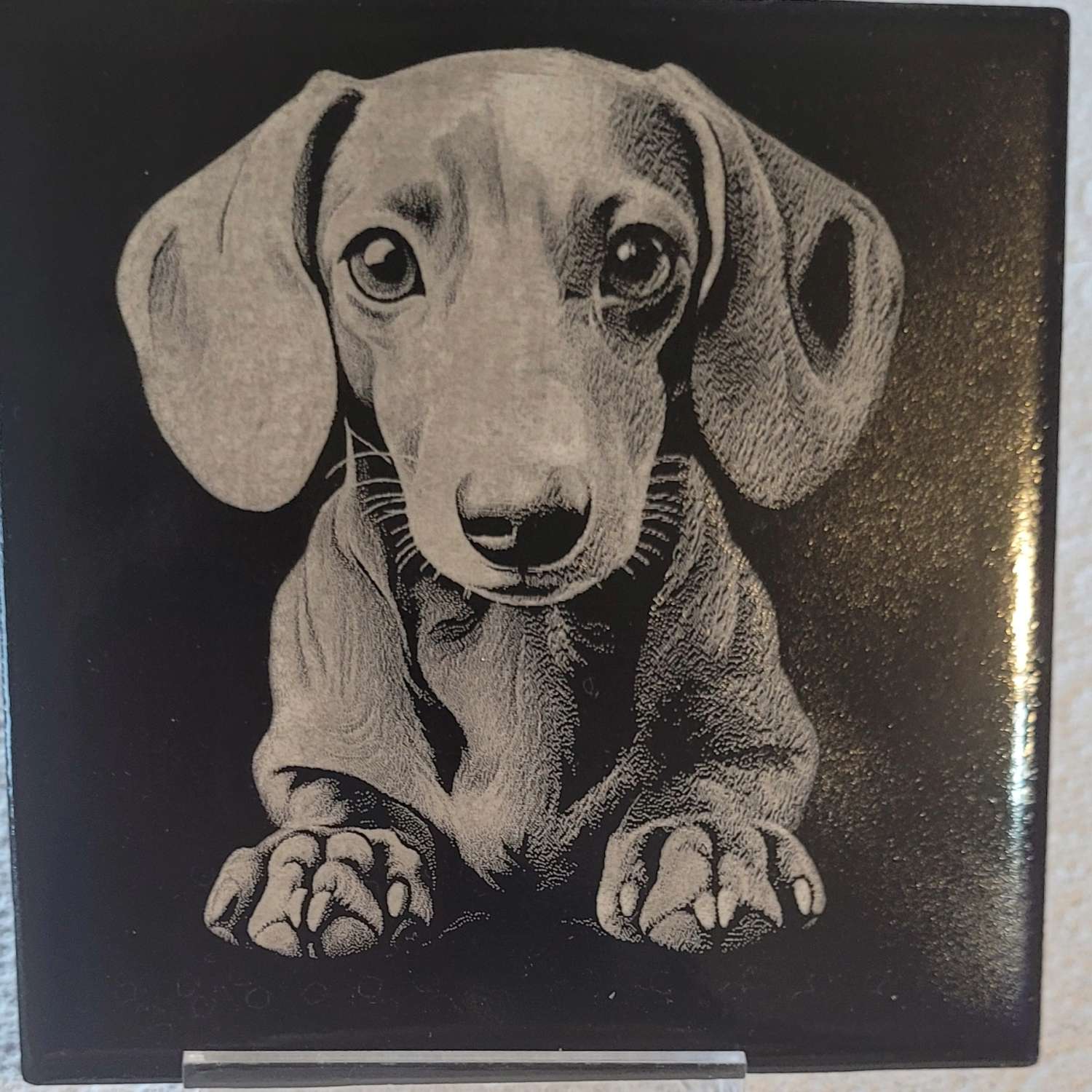 Coaster Coaster