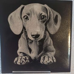 Coasters
