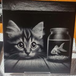 Kitten