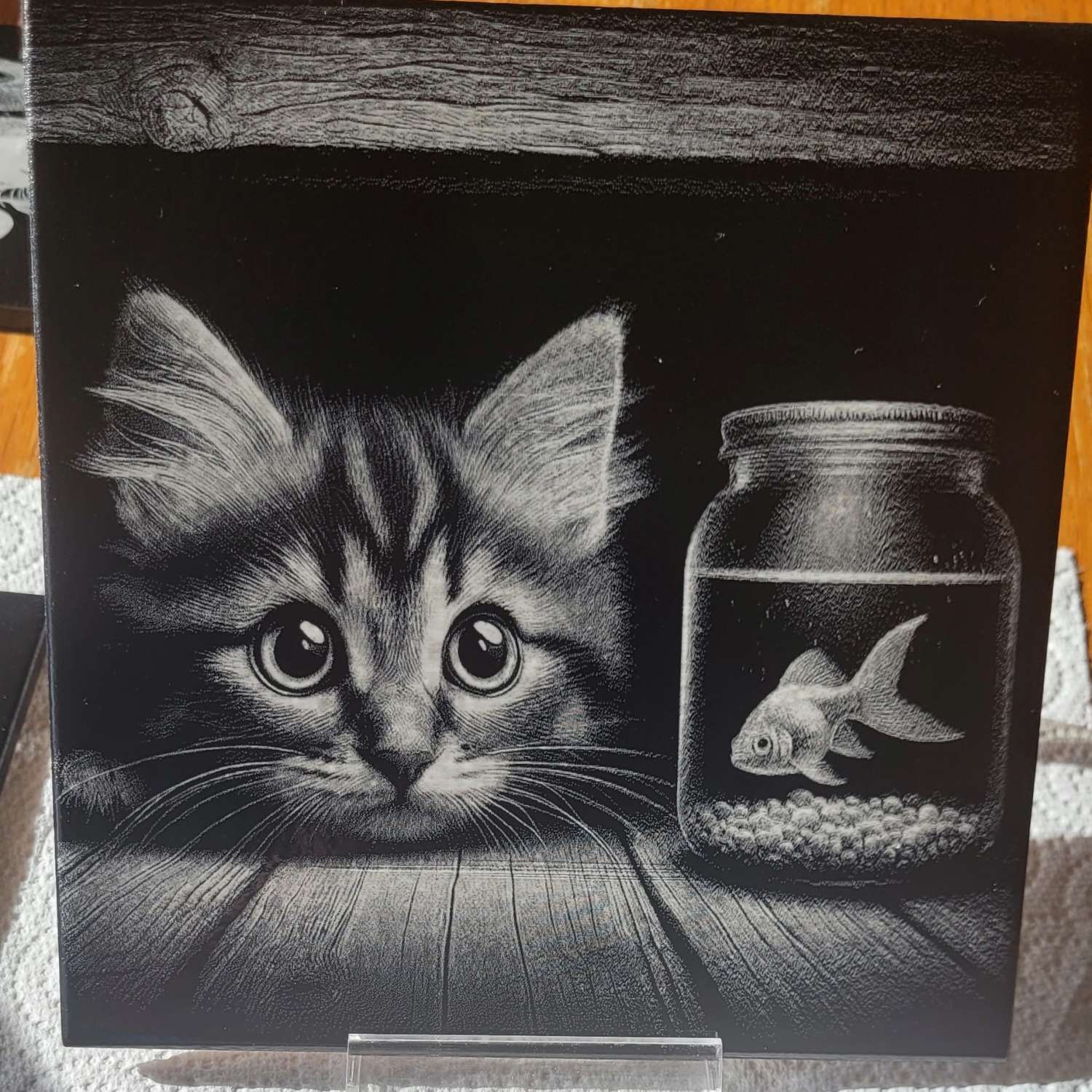 Kitten Kitten