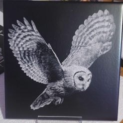 Owl coaster