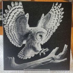 Owl coaster