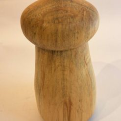 Mushroom box