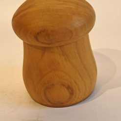 Mushroom Shaped Box