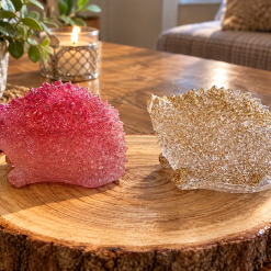 Hedgehogs