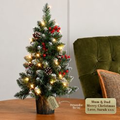 Personalized Mini Christmas Tree with Lights