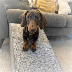32cm H x 29cm W x 65cms L base Sofa Pet Ramp
