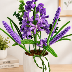 Purple Hyacinth